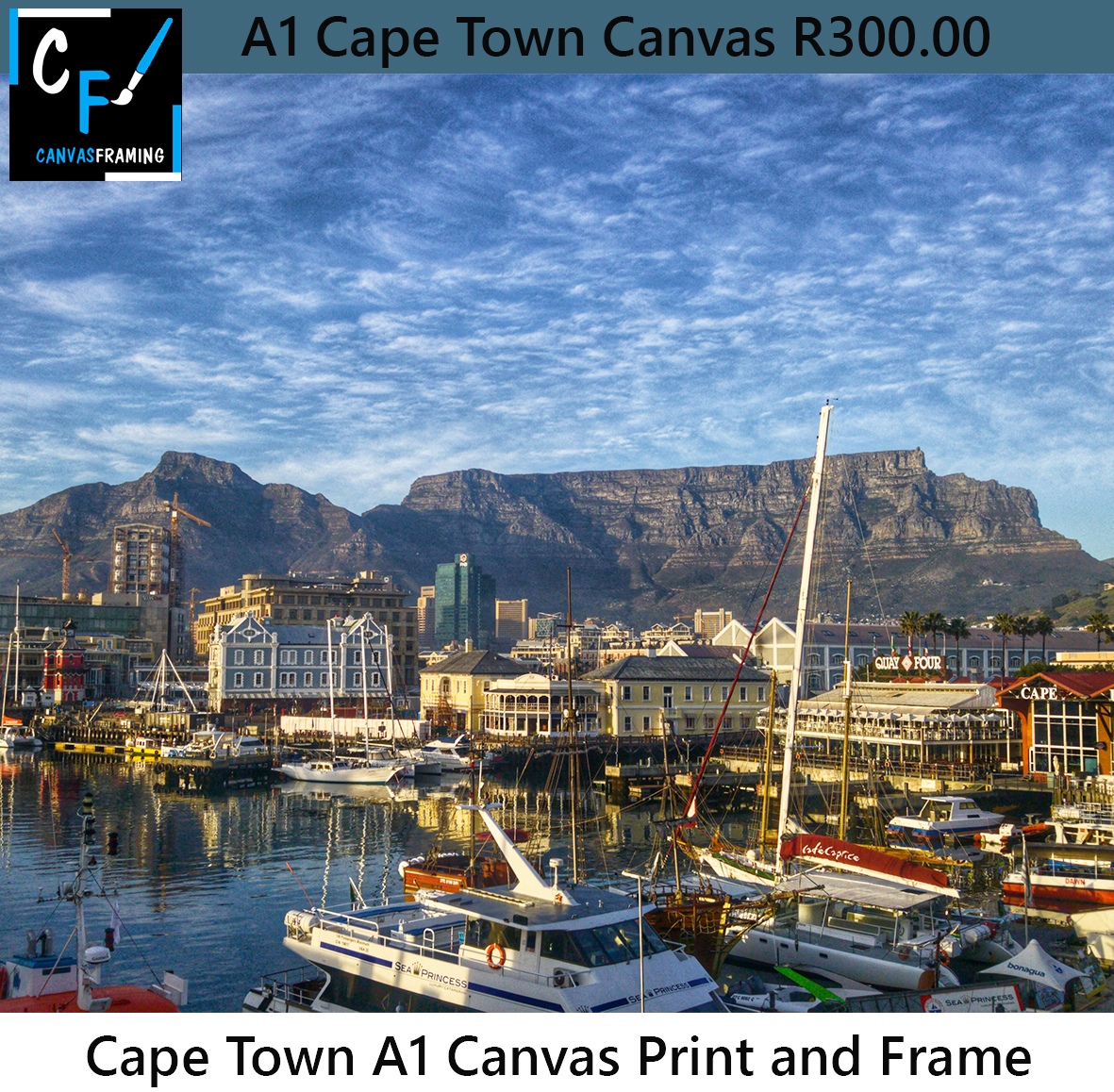 Cape Town Canvas